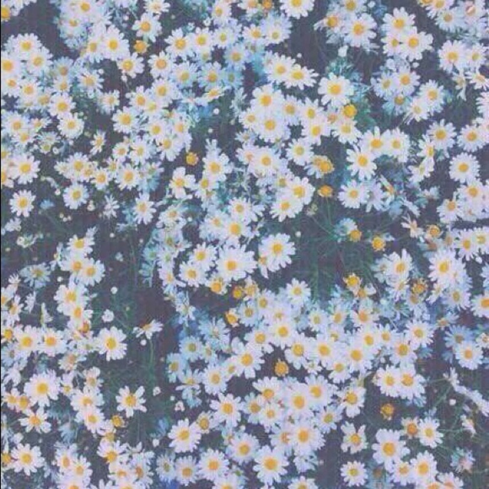 Meet your Posher, Patience